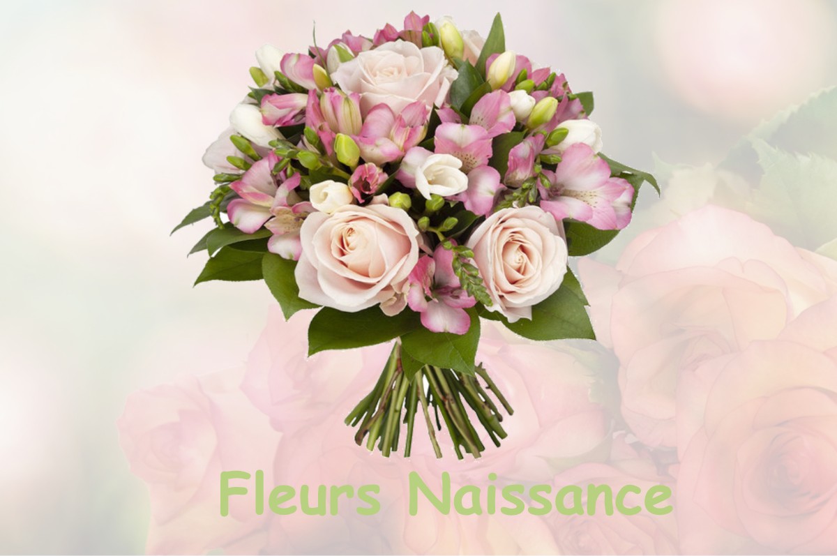 fleurs naissance CANET-DE-SALARS