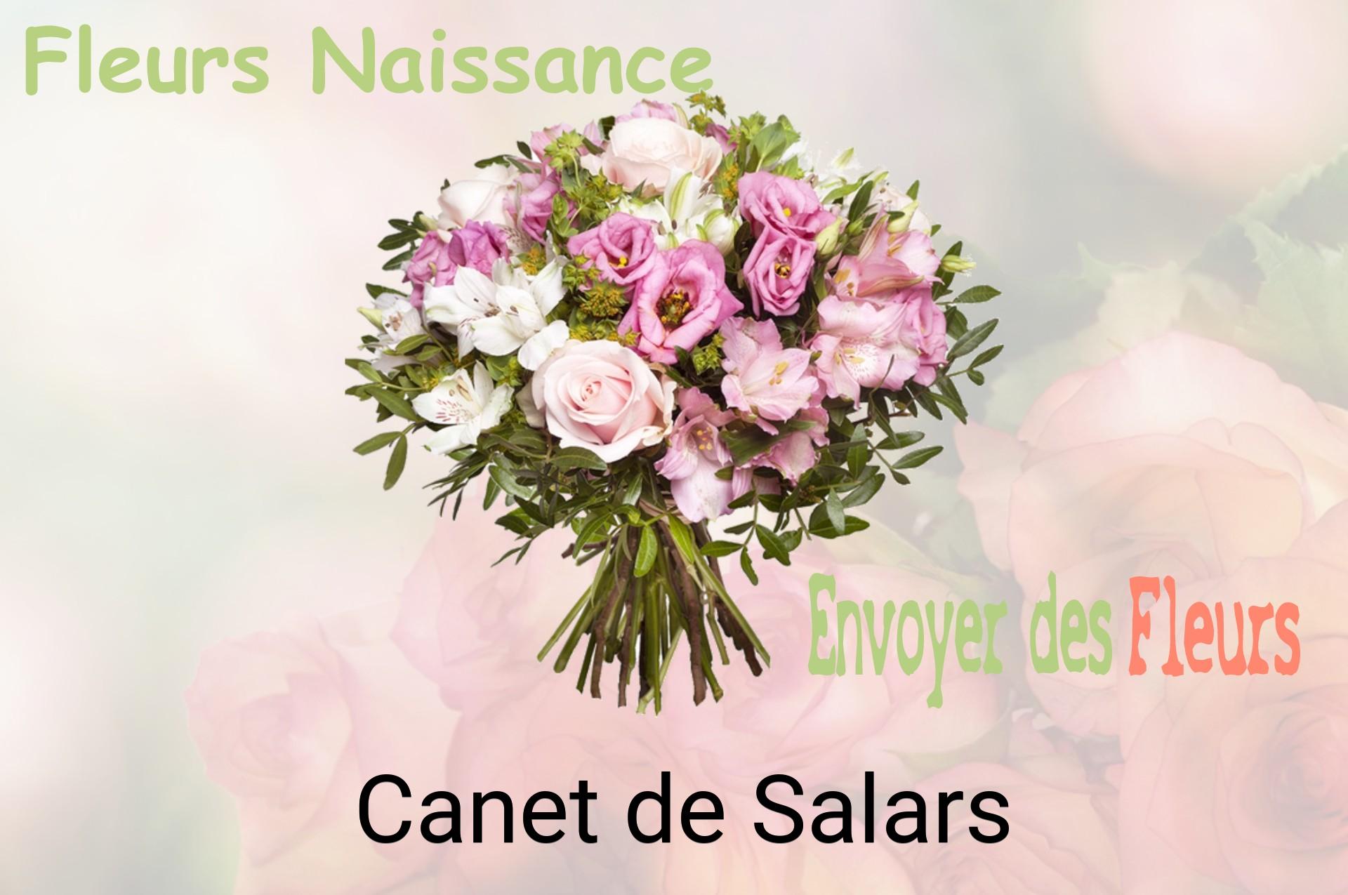 Bouquet de fleurs de naissance livré à Canet-de-Salars